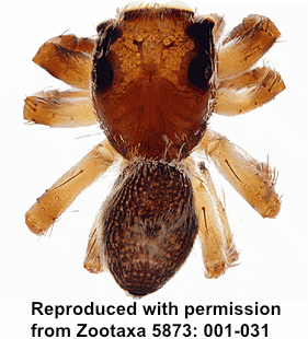 speciesimage