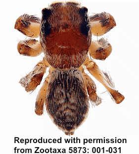 speciesimage