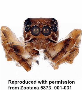 speciesimage