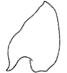 speciesimage