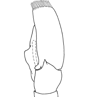speciesimage