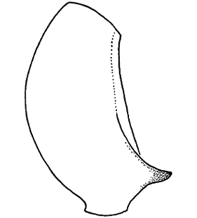 speciesimage