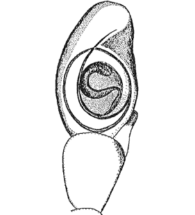 speciesimage