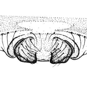 speciesimage