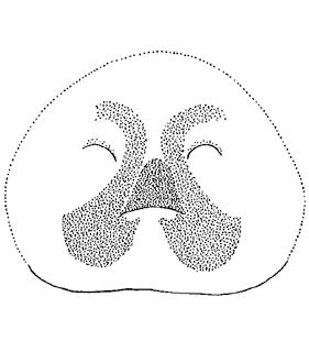 speciesimage