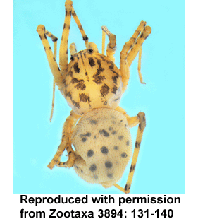 speciesimage