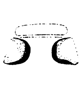 speciesimage