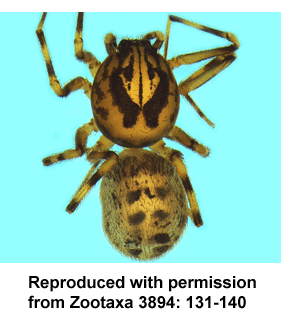 speciesimage