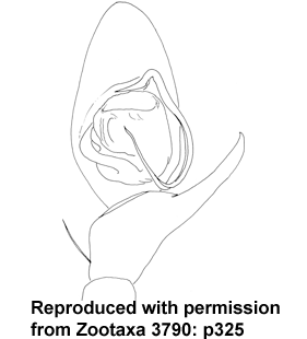 speciesimage