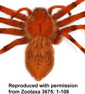 speciesimage