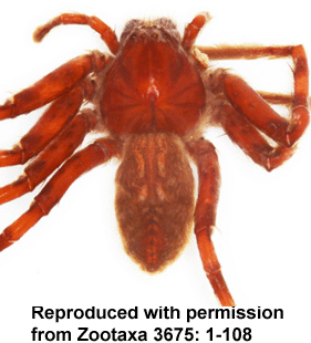 speciesimage