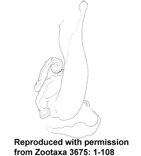 speciesimage
