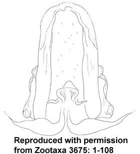 speciesimage
