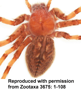 speciesimage