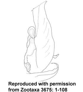 speciesimage