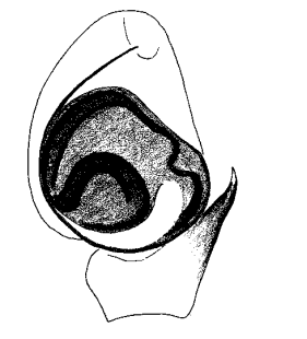 speciesimage