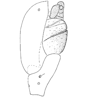 speciesimage