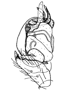 speciesimage