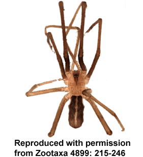 speciesimage