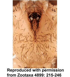 speciesimage