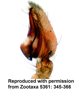 speciesimage