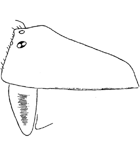 speciesimage