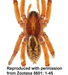 speciesimage