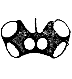 speciesimage
