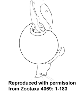 speciesimage