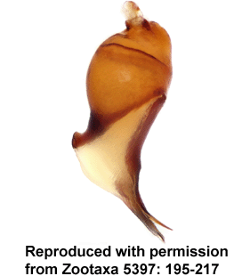 speciesimage