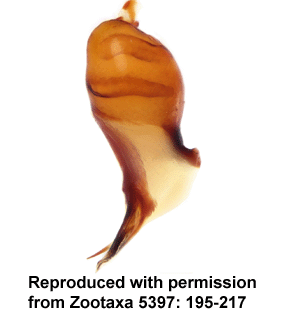 speciesimage