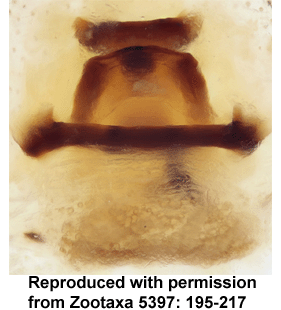 speciesimage