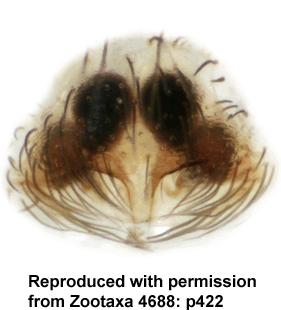 speciesimage