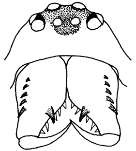 speciesimage