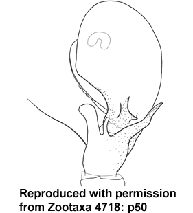 speciesimage