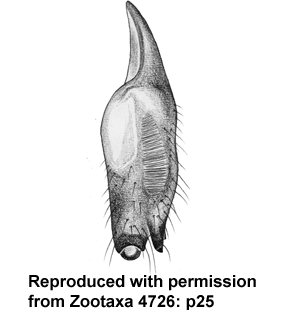 speciesimage