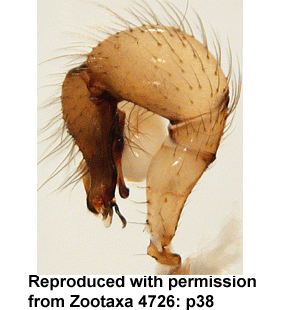 speciesimage