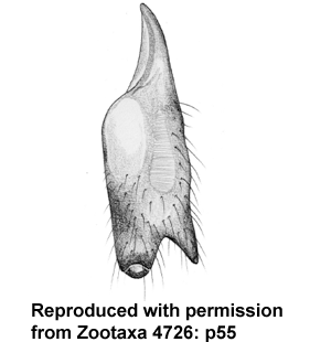 speciesimage
