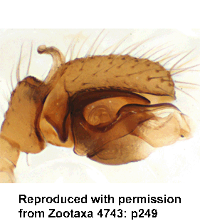 speciesimage
