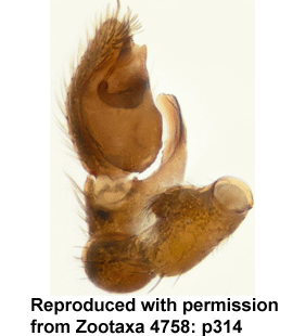 speciesimage