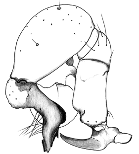 speciesimage