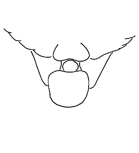 speciesimage