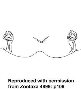 speciesimage