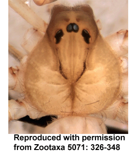 speciesimage