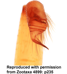 speciesimage