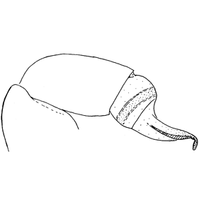 speciesimage
