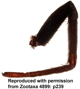 speciesimage