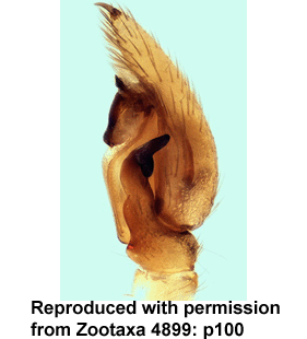 speciesimage