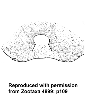 speciesimage