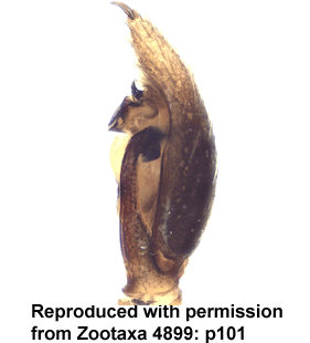 speciesimage